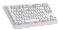 GAMEBOOSTER G75 Elya Rainbow Beyaz TKL Membrane Gaming Klavye